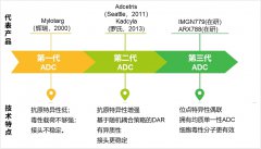 智慧芽报告：全球ADC药物创新进入黄金发展期