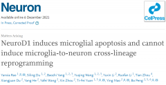 突破性发现：NeuroD1不能介导小胶质细胞-神经元重编程